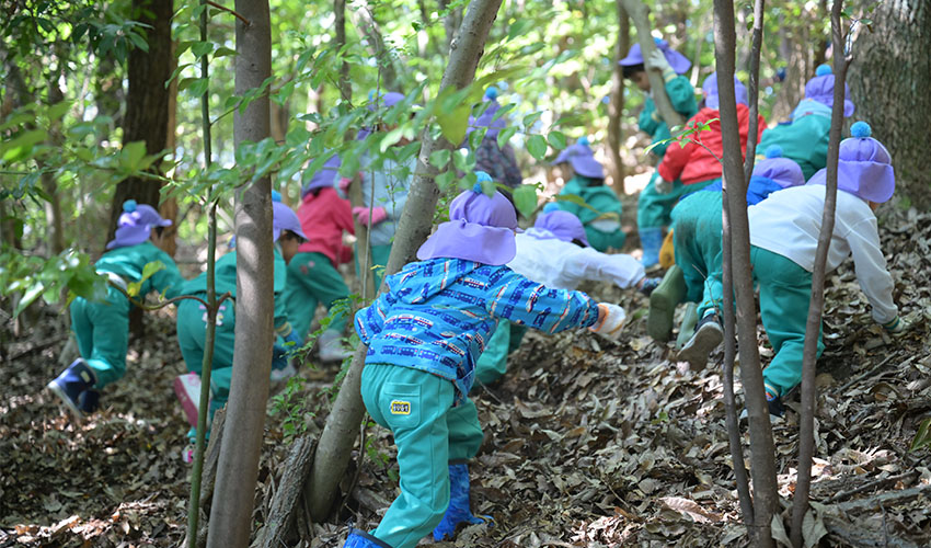 千代田短期大学附属幼稚園_02