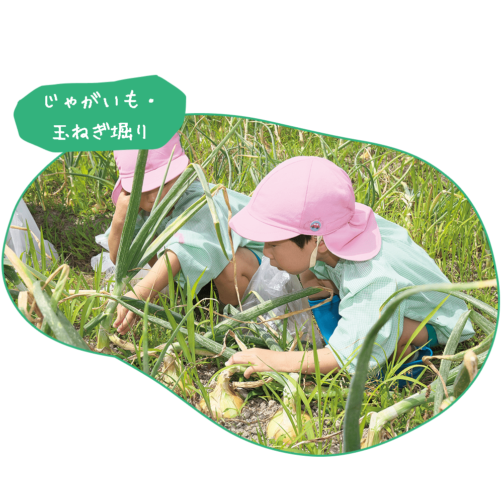 春のぽかぽか陽気の中でクラスのみんなとじゃがいも堀りや玉ねぎ堀りに出掛けます。